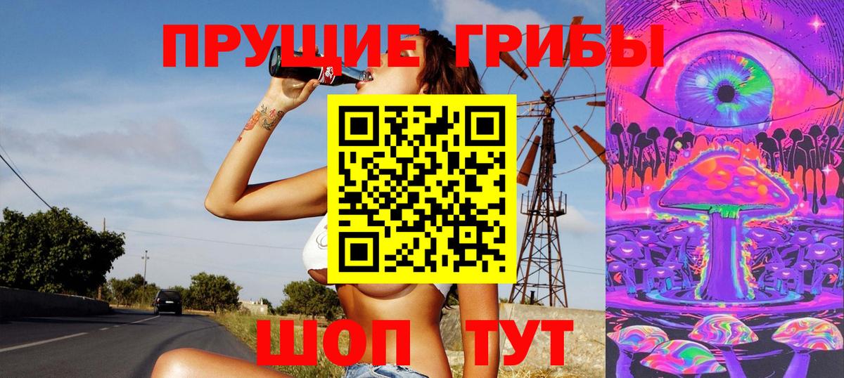 Псилоцибиновые грибы Cubensis Липецк