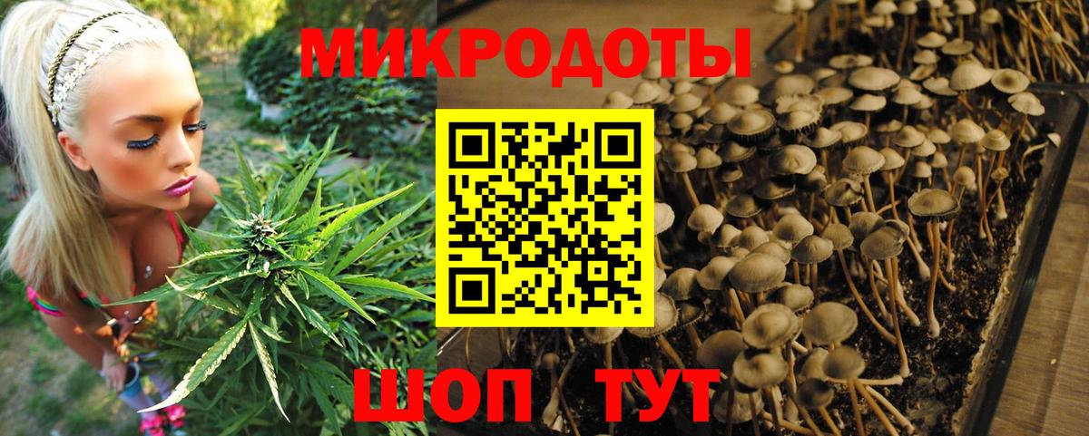 что такое наркотик  Псилоцибиновые грибы Psilocybine cubensis  Липецк  Вход с VPN  Галлюциногенные грибы Cubensis 
