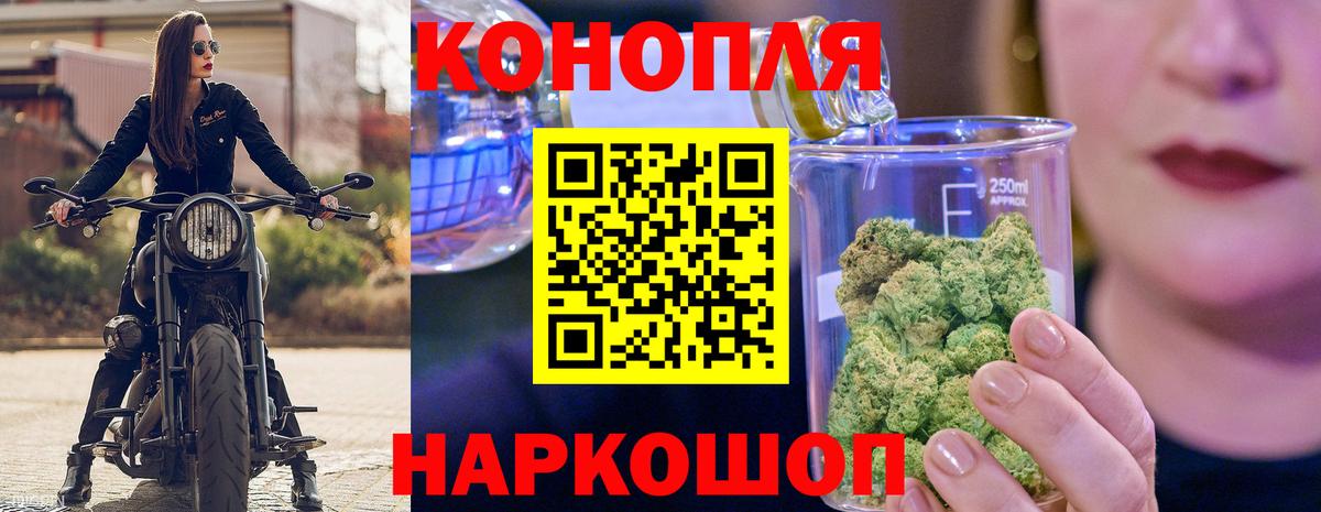 Шишки марихуана семена Липецк